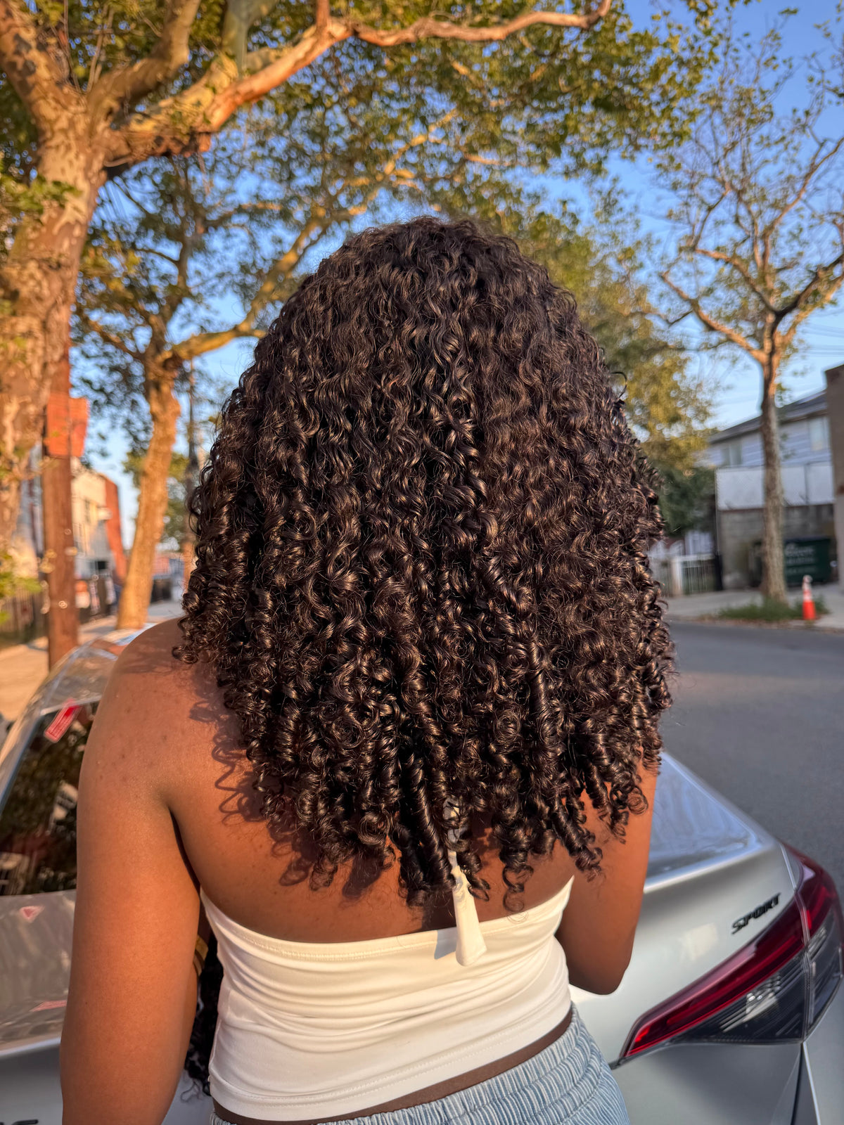 Island Curly