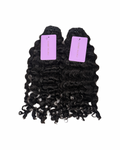 Burmese Curly