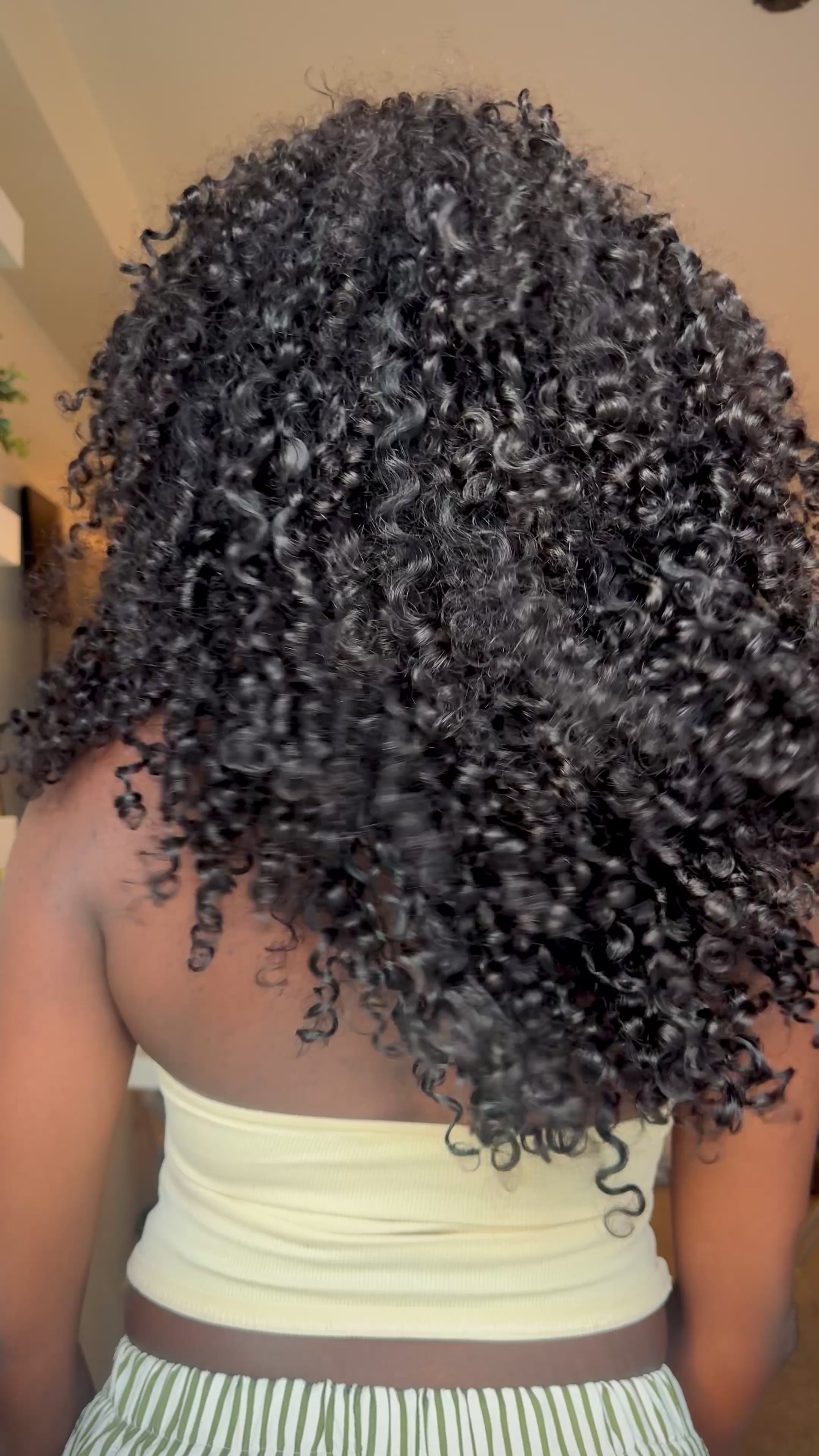 Island Curly